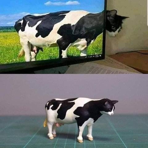 Photo of a black and white cat peeking its head around the monitor, which happens to line up exactly with a black and white cow that's on said monitor. Below that photo is another photo where somebody made a 3D model of the cow-cat amalgamation.