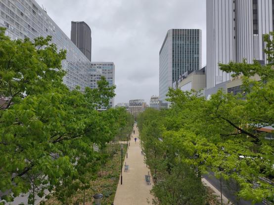 la vue d'en haut d'une promenade aménagé sur une axe arborée. Au second plan on voit des tour, notament l'hotel pullman a droite et le tour de Montparnasse plus loin a gauch