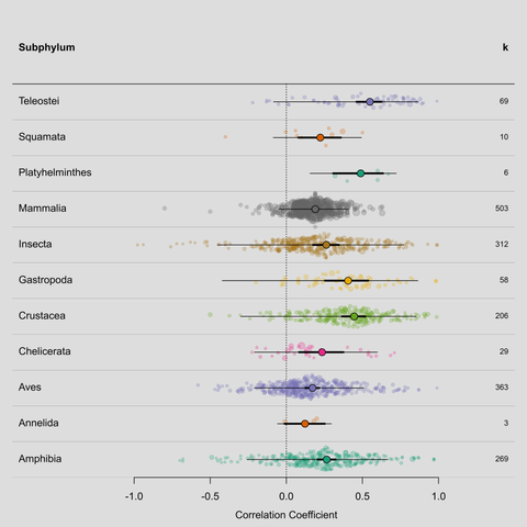An orchard plot showing many effect size estimates clustered by a categorical moderator variable, with pooled estimates (with 95% CIs/PIs) within subgroups superimposed.