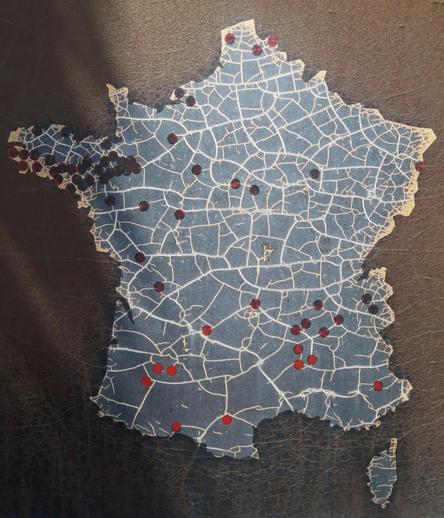 A map outline of France, with inside the outline a pattern of white cracks in gray paint.