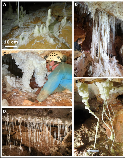 A screenshot from a scientific papers showing white stalactives in a cave with brown rock walls, and a brown floor. One of the images shows a caver in a blue shirt and white helmet with a head-torch examining the stalactites.