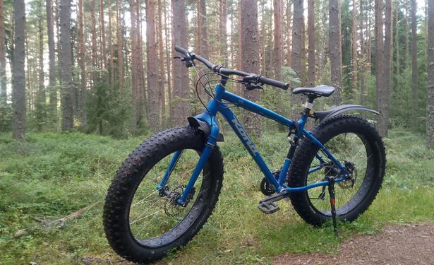 A blue fat bike on a forest trail.
