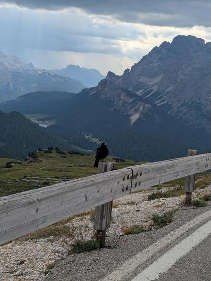 Eine Dohle sitzt auf einer Holz-Leitplanke. 
Im Hintergrund der Misurinasee, über dem bereits starke Gewitterschauer abregnen.