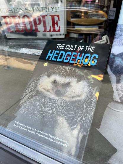 A book titled "The Cult of the Hedgehog" displayed in a shop window, featuring a close-up image of a hedgehog on the cover. The bottom text mentions a focus on African Pygmy Hedgehogs.