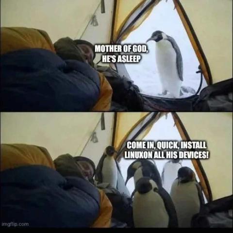 Two photos taken by the same camera.  The top photo shows the interior of a tent with a man asleep in a thick sleeping bag.  The tent door is open and reveals a snowy landscape outside, possibly in Antarctica since there is a curious penguin just outside the tent looking in at the man.  The penguin is captioned saying "Mother of God, he's asleep!"

The second photo shows the same scene, but now there are 6 penguins and they have come inside the tent to look around while the man sleeps.  The caption on this image reads "Come in, quick, install Linux on all his devices!"