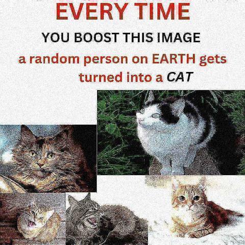 Text: "every time you boost this image a random person on earth gets turned into a cat"

There are several photos of cats underneath the text