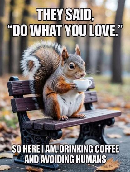 Picture a squirrel sitting on a tiny bench in a park, holding a cup of coffee.
Above the squirrel the text “They said “Do what you love.”
At the bottom of the frame the text: “So here I m, drinking coffee and avoiding humans”
CREDIT: DDG find.