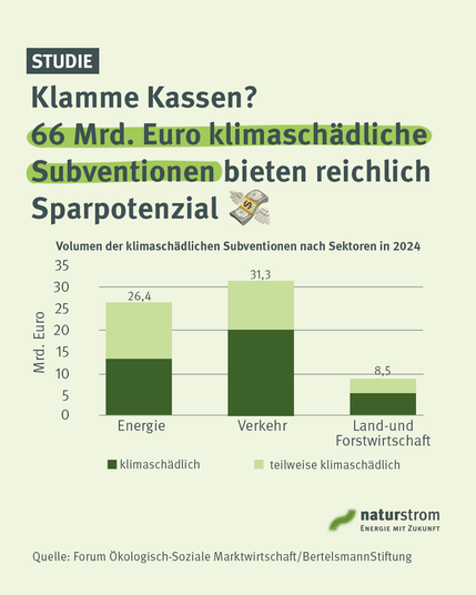 Grafik zur Studie über klimaschädliche Subventionen in Deutschland. Überschrift: „Klamme Kassen? 66 Mrd. Euro klimaschädliche Subventionen bieten reichlich Sparpotenzial“. Ein Säulendiagramm zeigt das Volumen klimaschädlicher und teilweise klimaschädlicher Subventionen nach Sektoren im Jahr 2024. Auf den Energiesektor entfallen insgesamt 26,4 Milliarden Euro, auf den Verkehr 31,3 Milliarden Euro und auf die Land- und Forstwirtschaft 8,5 Milliarden Euro. Die Säulen sind jeweils in „klimaschädlich“ und „teilweise klimaschädlich“ unterteilt. Verkehr weist damit das größte Subventionsvolumen auf, gefolgt von Energie sowie Land- und Forstwirtschaft. Quelle: Forum Ökologisch-Soziale Marktwirtschaft/Bertelsmann Stiftung. Unten rechts befindet sich das naturstrom-Logo.