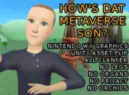 A heavily JPEG conpressed image of a poorly rendered Mark Zuckerberg in front of a poorly rendered scenery of the Eiffel Tower and a few other buildings.
Overlayed with the folliwing text: 

HOW'S DAT METAVERSE SON?

NINTENDO WII GRAPHICS
UNITY ASSET FLIP
ALL CLANKER
NO LEGS
NO ORGANS
NO PRIVACY
NO ORCHIDS