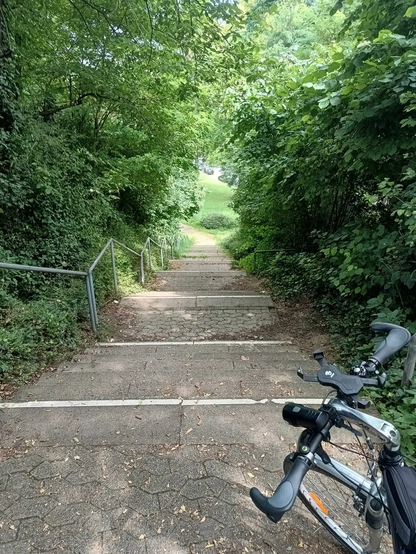 A stair case with many steps leading down. The handles of a bike is visible in the bottom corner. The path down is very nicely framed with green trees and bushes but is still a very long hill down, not optimal for a bike... *grin*