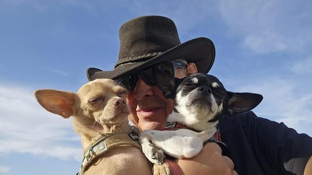 A man wearing a black cowboy hat and sunglasses holds two small Chihuahuas against a bright blue sky with sparse white clouds. The tan Chihuahua on the left has its eyes squinted, while the black and white Chihuahua on the right has its eyes closed, both appearing relaxed. The man's face is partially visible, smiling slightly.