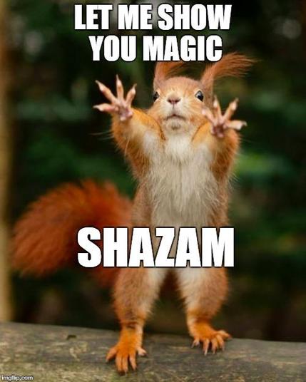 Picture a red squirrel standing upright on a wooden platform their hands thrust forwards as if casting a spell.
The caption reads: “Let me show you magic, SHAZAM!”
Credit: DDG find.