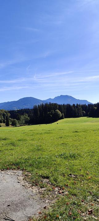 Noch mehr Wiese, Kühe und Berge