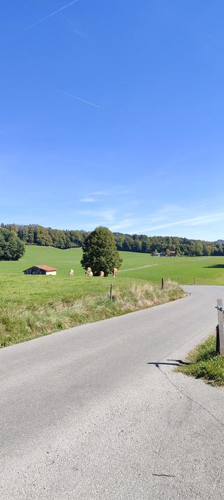 Eine schmale Straße schlängelt sich durch die Wiesenlandschaft zwischen den Bergen