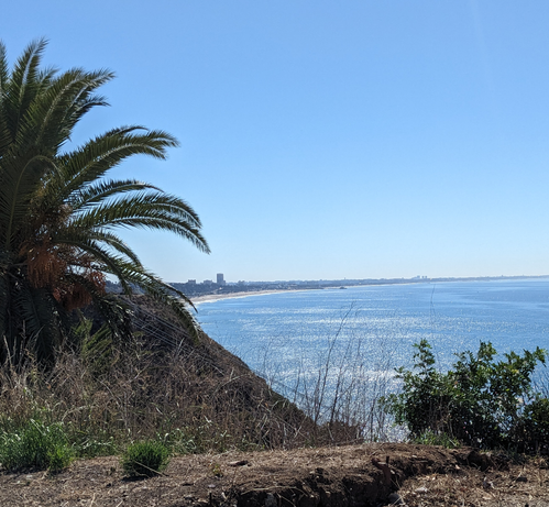 The coast