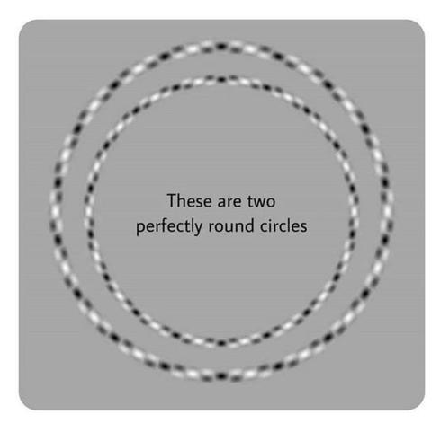 Optical illusion by Akiyoshi Kitaoka showing two concentric circles drawn with alternative black and white patches making it difficult for the eye to trace them without being confused. Text in the middle says “These are two perfectly round circles”.