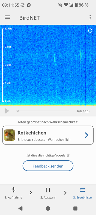 Screenshot eines Spektogramms in der App BirdNET. Man sieht in vor allem blau kontrastreich die Frequenzen vom Rotkehlchengesang. Unten steht als Bestimmung, dass es wahrscheinlich ein Rotkehlchen ist.