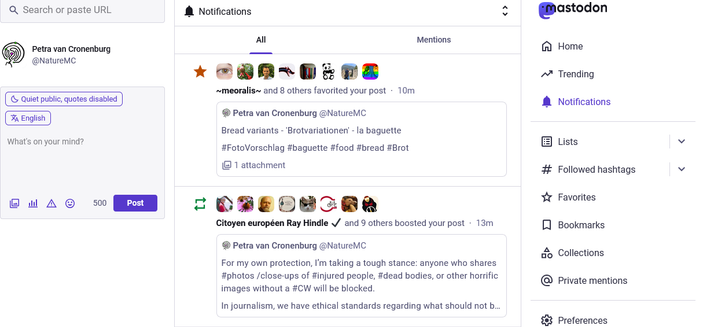 Old version seen at notifications: the feed is dominant. At the left, the post field. The menu at the right. Everything is visible, readable. The bigger posting field is at eye's height. All icons visible evenfor people with glasses!