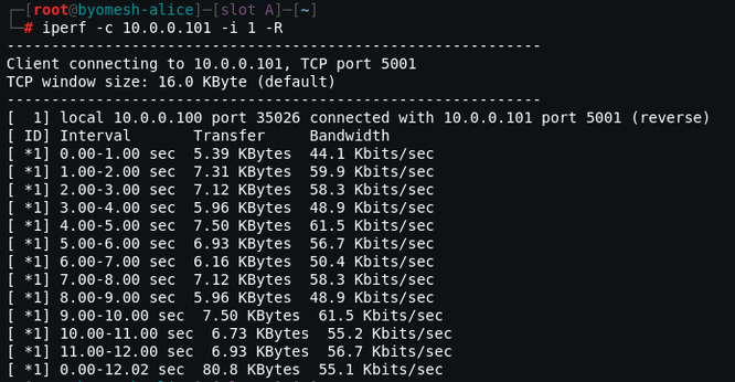 Bandwidth testing of the BYOMesh board running MeshTNC firmware. Command line shows output from the iperf command