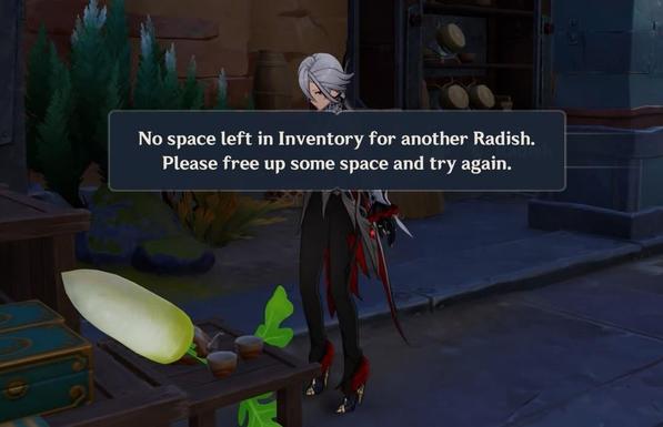 Genshin Impact screenshot. Arlecchino stands in front of a big radish. onscreen text reads "No space left in Inventory for another Radish. Please free up some space and try again."