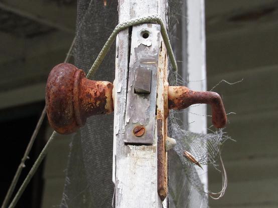 Side view of the portion of a distressed screen door featuring the rusted knob assembly and torn screen with the wall of the cabin in the background. The door is held open with a bungee cord.