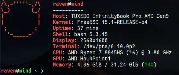 A screenshot of the fastfetch command output on FreeBSD 15.1-RELEASE-p4 showing detailed system informations of a TUXEDO InfinityBook Pro AMD Gen9