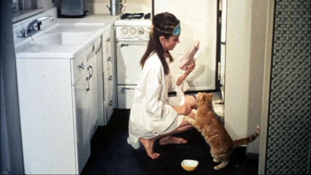 In a tiny kitchen, Audrey, barefoot, wearing a white men's shirt, and a blue sleep mask pushed up onto her forehead, rummages in the refrigerator looking for something for cat, an orange tabby, who's prancing on her knee.
Scene from Breakfast At Tiffany's.