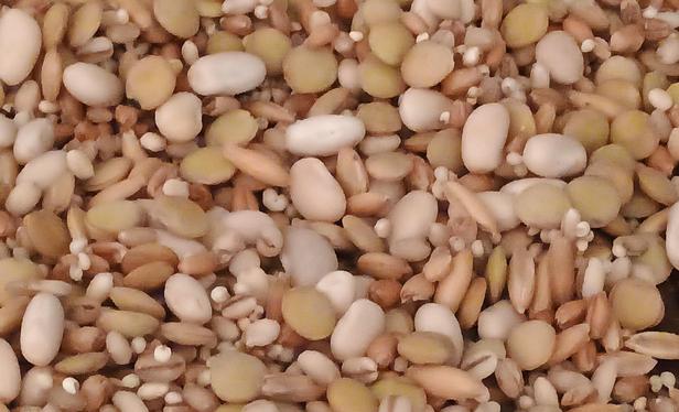 A mix of grains and legumes etc