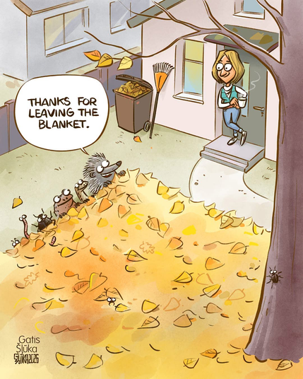 Cartoon: A woman stands at her back stoop, a rake by her side. In front of her is a lawn but it has been left unraked and covered in yellow leaves. Some critters (a frog, a snake, an insect, a rodent) are at the side of the lawn. One says, “Thanks for leaving the blanket.”