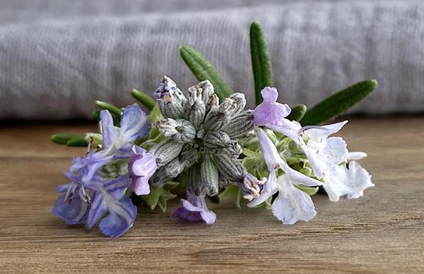 on a piece of chestnut wood with grey muslin behind, a small collection of flowers. from left to right, they are: blue-violet rosemary, lavender, and blue-white (mostly white) rosemary. there are green rosemary needle-leaves sticking up behind. the flowers are all so small but so very, very perfect.