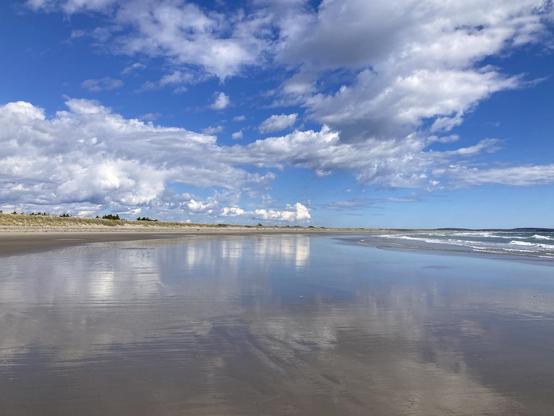 Long view of an ocean beach where low dunes and ocean converge in the distance. It's low tide so there's a large expanse of sand, much of which is wet from the choppy surf. The sky is blue with a good distribution of white fluffy clouds.