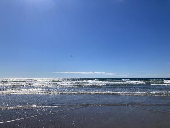 View of sun sparkling on a surfy ocean. The water is deep blue-green with lots of foam as the waves break erratically. The sky is blue with a long thin cloud stretched over the middle of the horizon. A gull flies past, a speck in the sky near the centre of the photo.