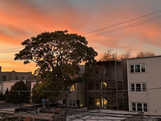 Chicago alley at sunset. There’s a big tree and some guys working on a roof