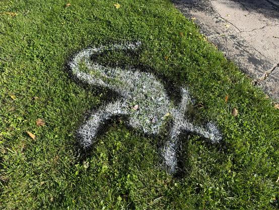 This image shows a white, chalk-like outline of the Chicago White Sox logo drawn on a patch of green grass next to a paved surface.