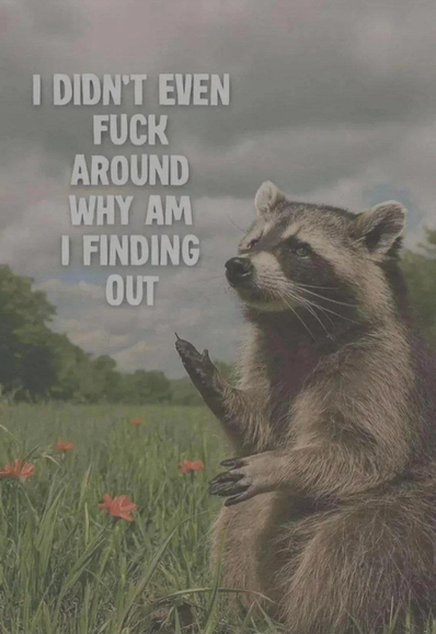 Image attached toot