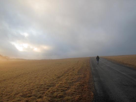 As just a hint of sunlight breaks through the clouds and fog, Alice walks toward the top of a hill along a little traveled road between farm fields.