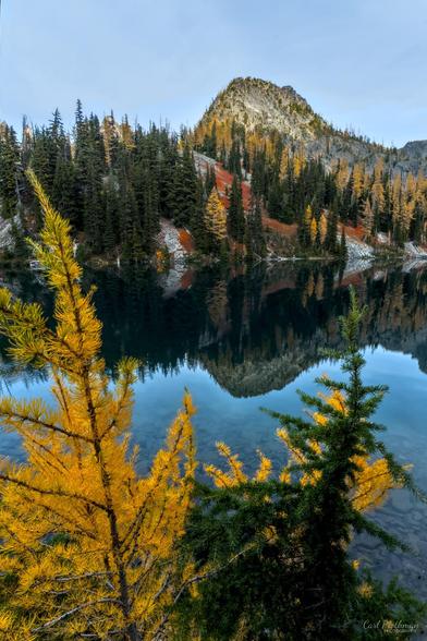 Golden larches rise above Blue Lake in the North Cascades, with their autumn color reflected in the still water and rocky peaks beyond. Dark evergreens add depth through the foreground. The scene feels crisp and peaceful.
