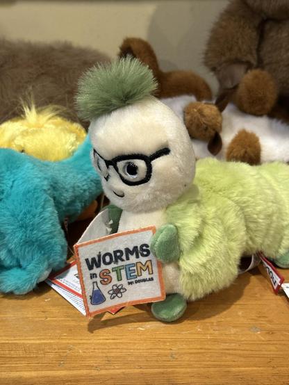 A stuffed worm reading a book called worms in stem