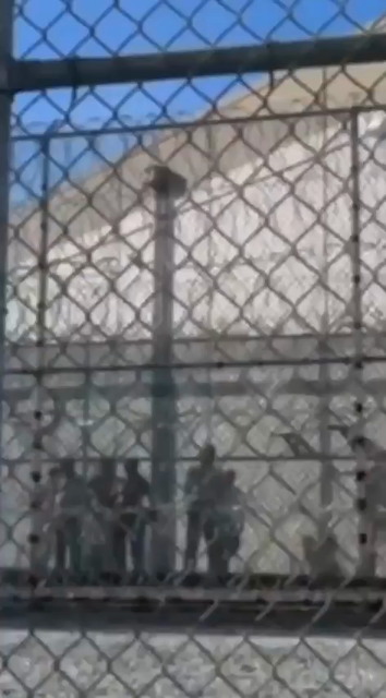 Grainy cell phone video, no obvious watermarks, daytime, grainy view of men behind many fences, in front of warehouse-like building

(In spanish)

"Are they killing persons inside?"

"yes"

"Are they incinerating the bodies in these facilities?"

"YES"

"What are your names?"

("people shouting their names), and "We want to get out"! 

No other definable content in video