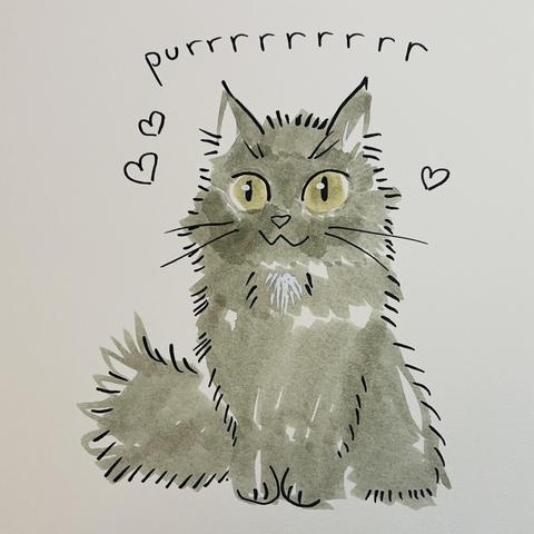 drawing of a fluffy black cat purring