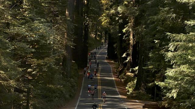 Grainy long range snapshot of a road curving uphill into tall trees. Many runners descending.