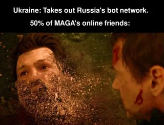 Ukraine: Takes out Russia's bot network.
50% of MAGA's online friends:

the snap

thanos
