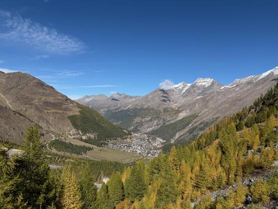 Looking down on the village of Saas-Fee in an alpine valley. Larches with golden-yellow needles fill the foreground; snow-dusted peaks rise in the distance under a deep blue sky.