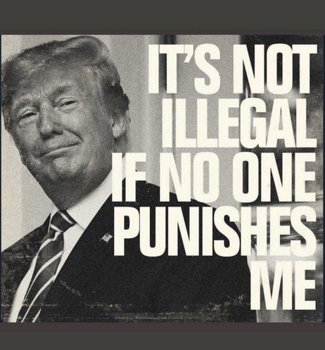 A smug Donald Trump stares out from a black and white photo. Bold white words overtop: IT'S NOT ILLEGAL IF NO ONE PUNISHES ME.