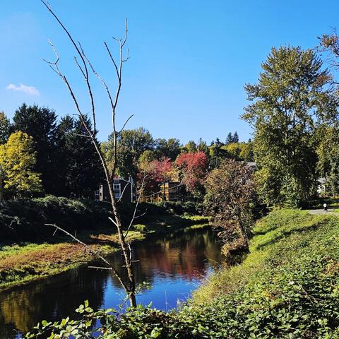 Sammamish River in what I think is Redmond WA