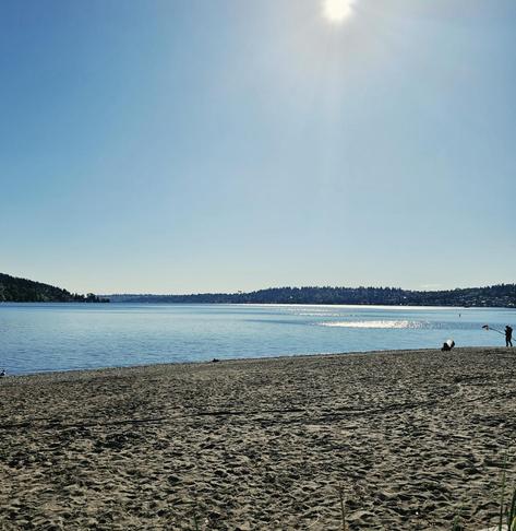 View of Lake Washington from Matthews Beach