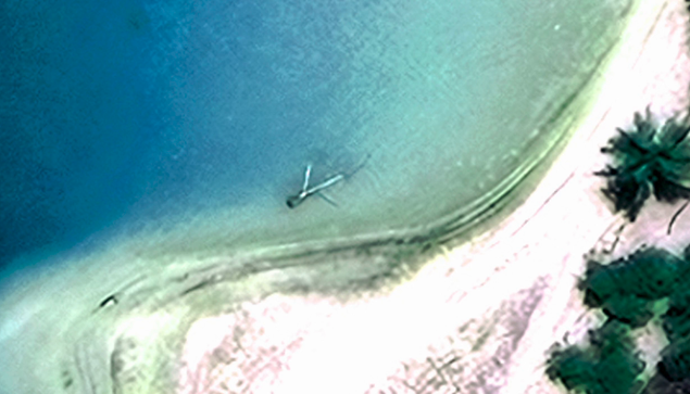 Thing washed up on a beach