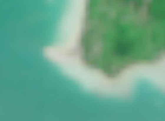 Area where they are investigating