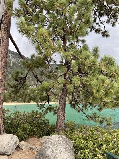 Rocks and trees in the foreground. A lake in the middle distance. A mountain in the background.