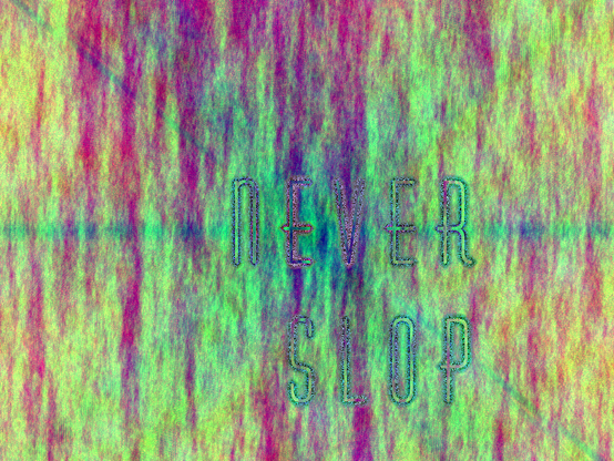 red-purple-green flame, the text "never slop" in a tall,  thin typeface, formed out of breaks in the color pattern. The diagonals and horizontal of the image are darker than the rest.